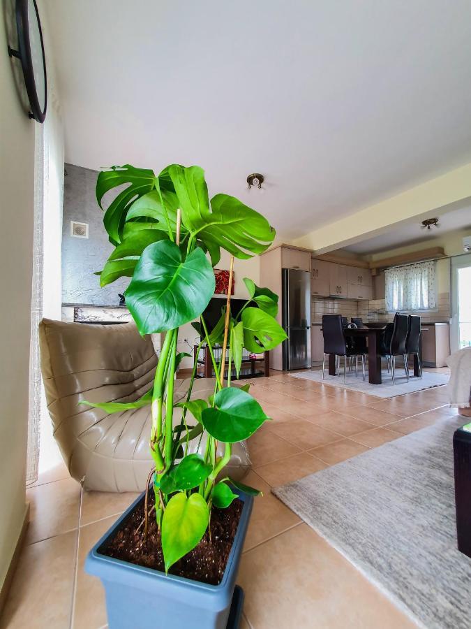 Olympian Two Floor Apartment Leptokarya  Exterior photo